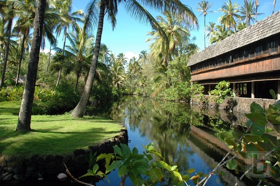 Blue Hawaii, Coco Palms Resort