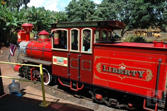 Vláček, Dole Plantation