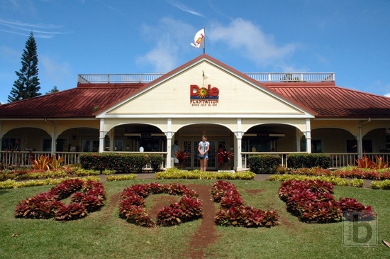 Dole Plantation