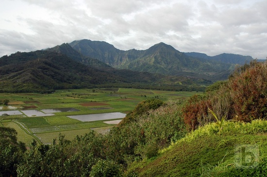 Hanalei  Valley