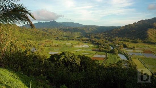 Hanalei Valley v paprscích slunce pozdního odpoledne