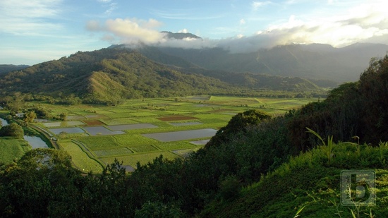 Hanalei Valley v paprscích slunce pozdního odpoledne