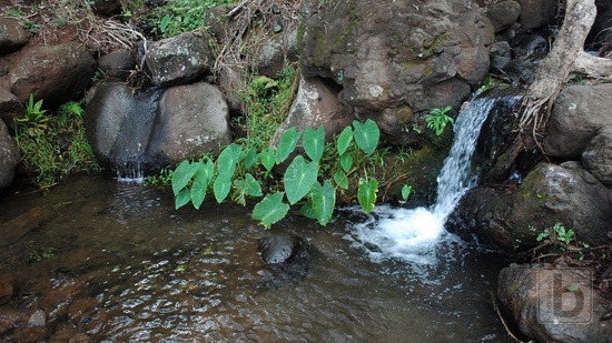 Kalalau Trail