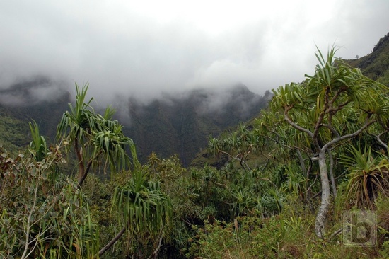 Kalalau trail, Na Pali coast