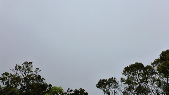 Kalalau Valley Lookout