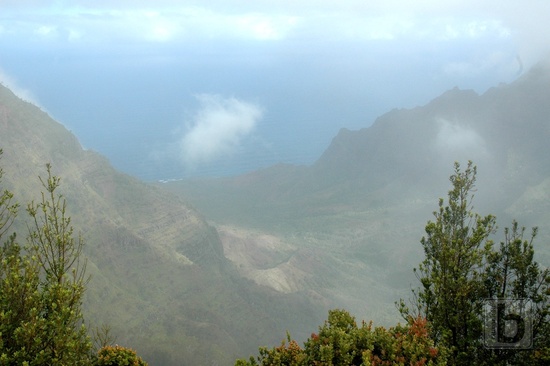Kalalau Valley z vrcholu Waialeale