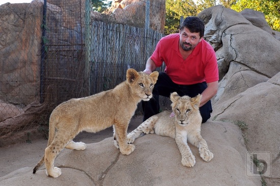 Johannesburg, lvíčata v Lion Parku