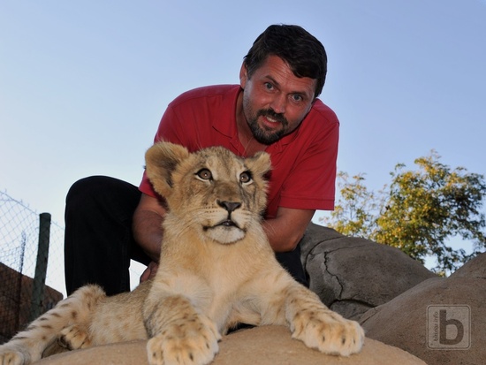 ohannesburg, lvíčata v Lion Parku