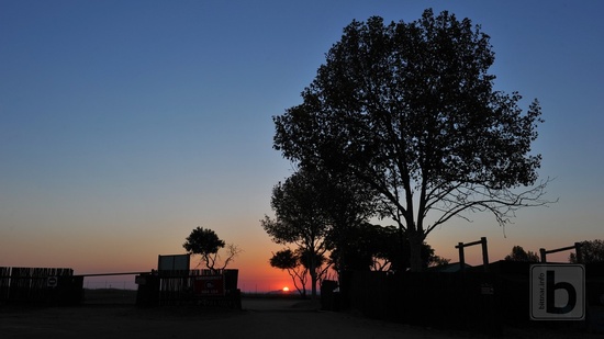 Johannesburg, africký západ slunce v Lion Parku