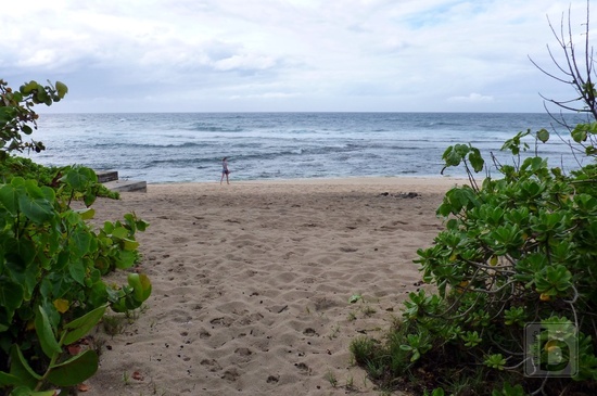 Mokuleia Beach