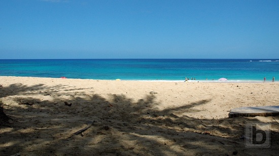 Pláže na severu (North Shore)