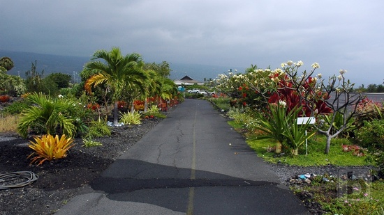 Old Airport Park - Kona