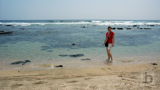 Old Airport Park - Kona
