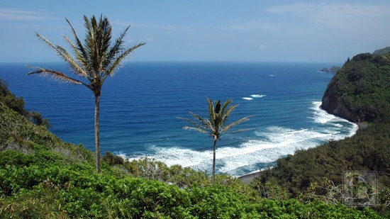 Pololu Valley