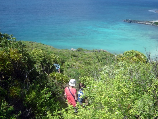Petites Cayes cesta