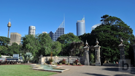 Sydney, botanická zahrada