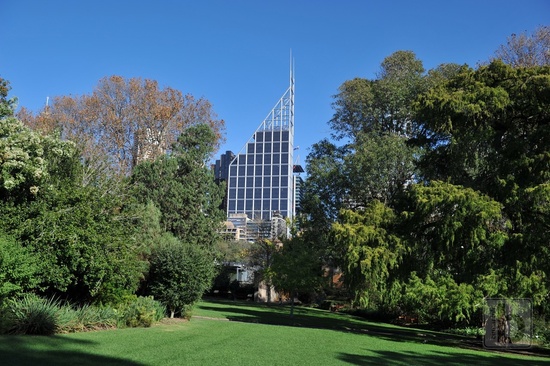 Downtown Sydney pohledem z botanické zahrady