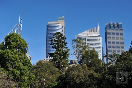 Downtown Sydney pohledem z botanické zahrady