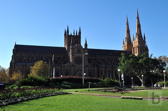 Sydney, katedrála sv. Marie