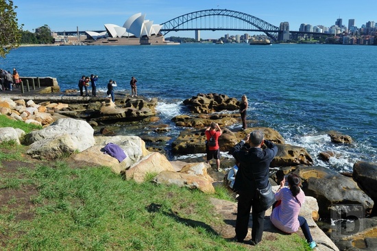 Sydney Opera House a Harbour Bridge
