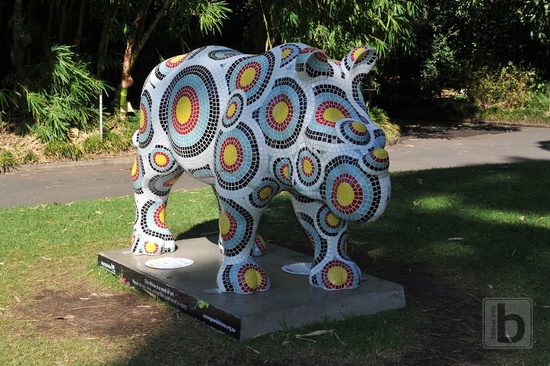 Sydney, botanická zahrada a nosorožec