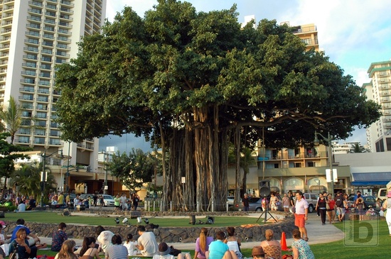 Pódium na Waikiki Beach