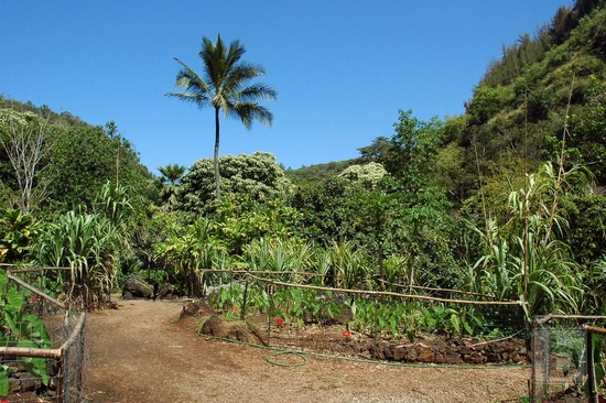 Waimea Valley