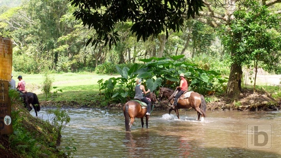 Konec Waipio Valley Road