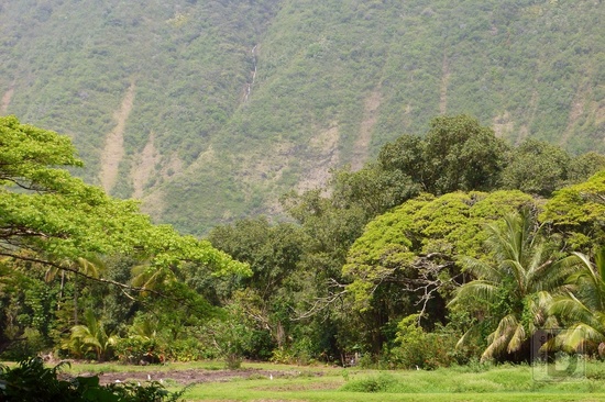 Vodopády ve Waipio Valley
