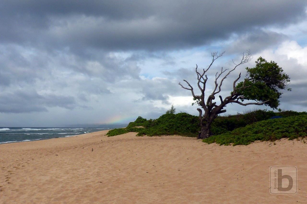 Po stopách filmových hvězd Hawaii P. Bittnar