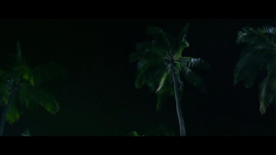 Palma na níž Jack přeskočil..